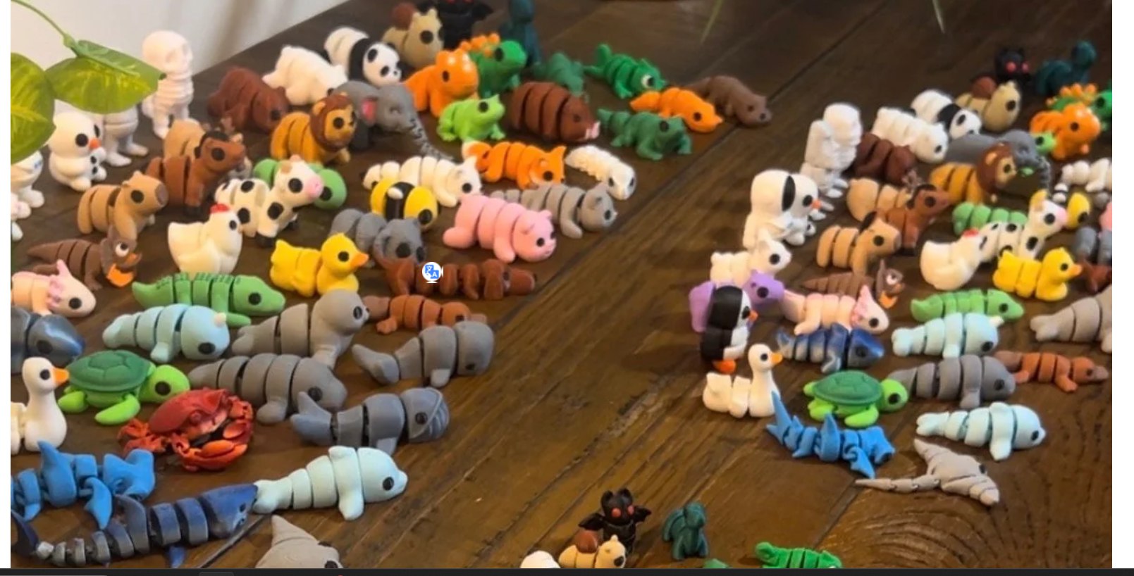 Animales